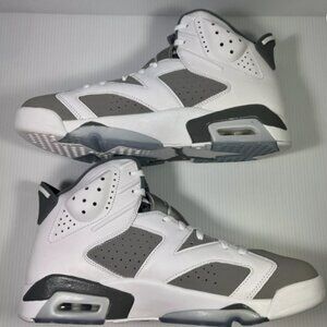 Jordan 6 Retro Low Cool Grey New